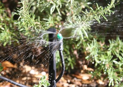 Micro spray direction specific for garden beds
