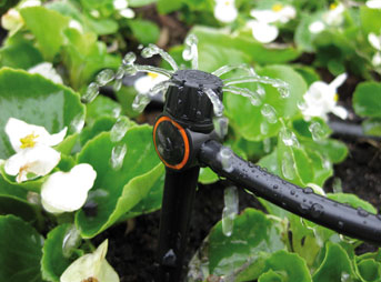 Micro sprinkler drip type plant watering system