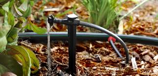 Automated drip system for garden beds